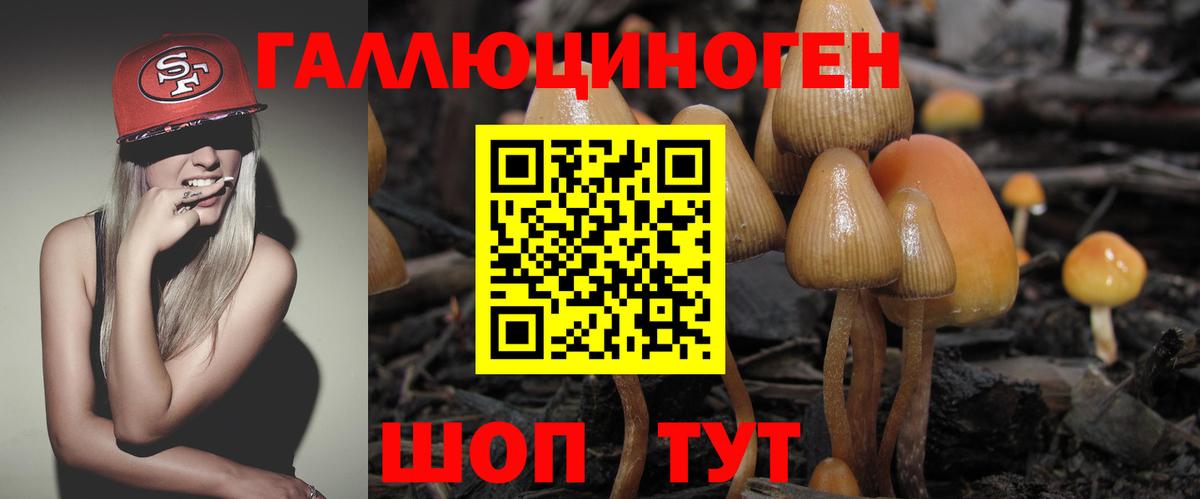 Баксан  Галлюциногенные грибы прущие грибы  Галлюциногенные грибы мицелий  Вход с VPN 