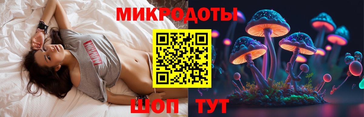 Псилоцибиновые грибы Psilocybine cubensis Баксан